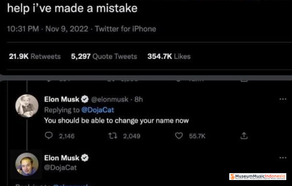 Doja Cat Elon Musk