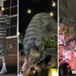 MGK somersaults off roof
